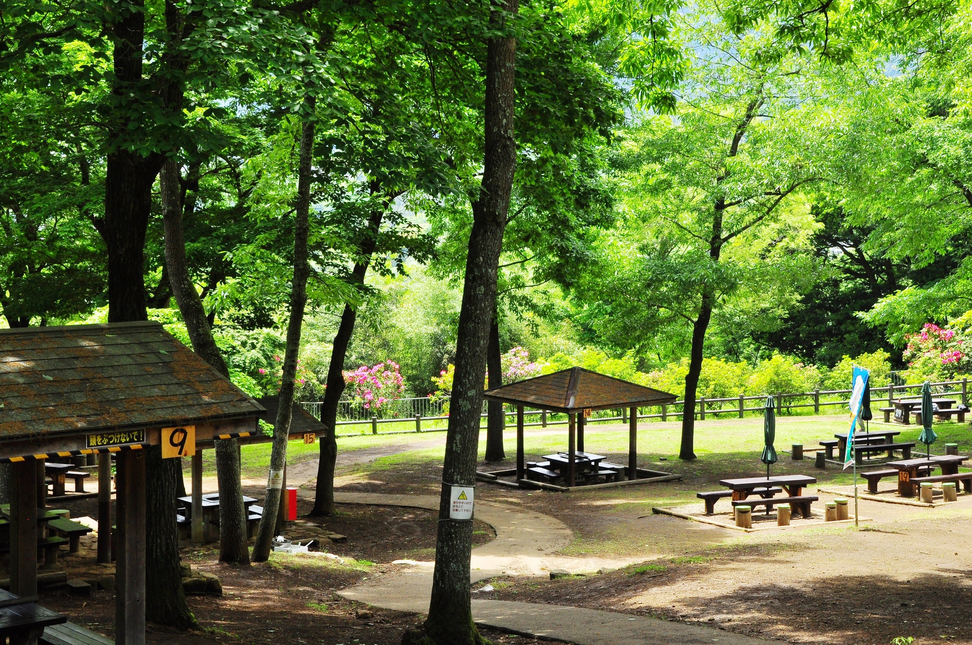 森林地区のバーベキュー会場
