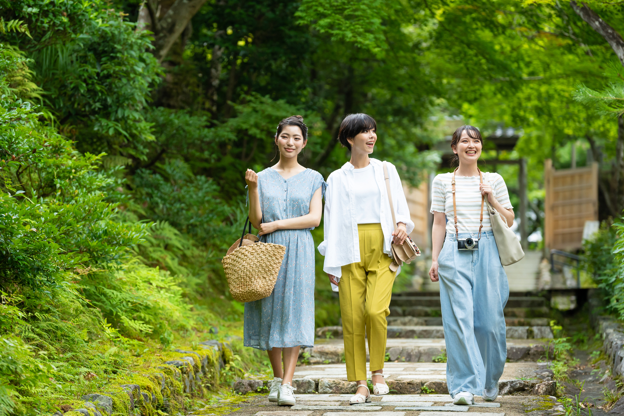 自然の中を歩く女性3人