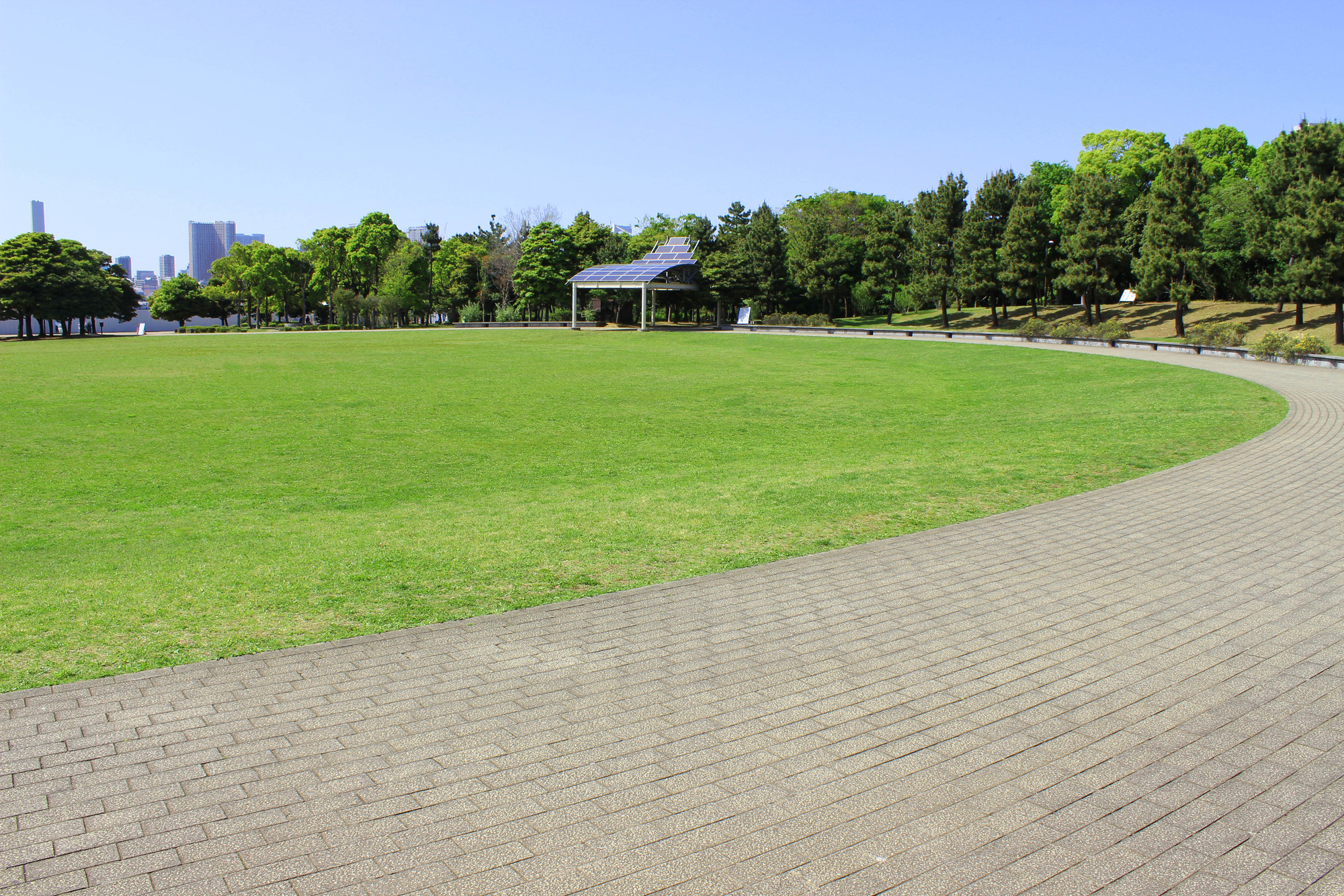 公園の芝生