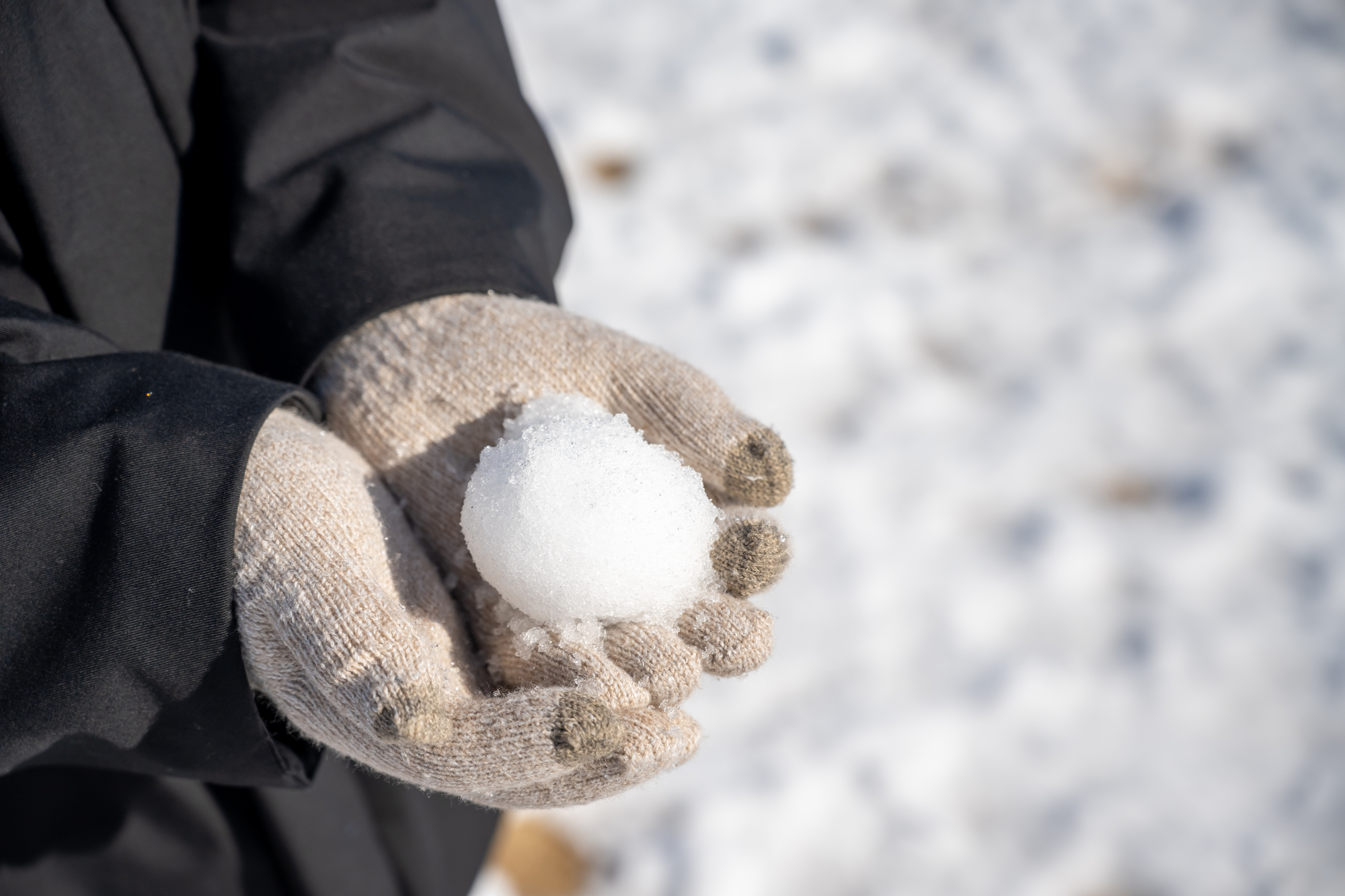 雪玉をもった人