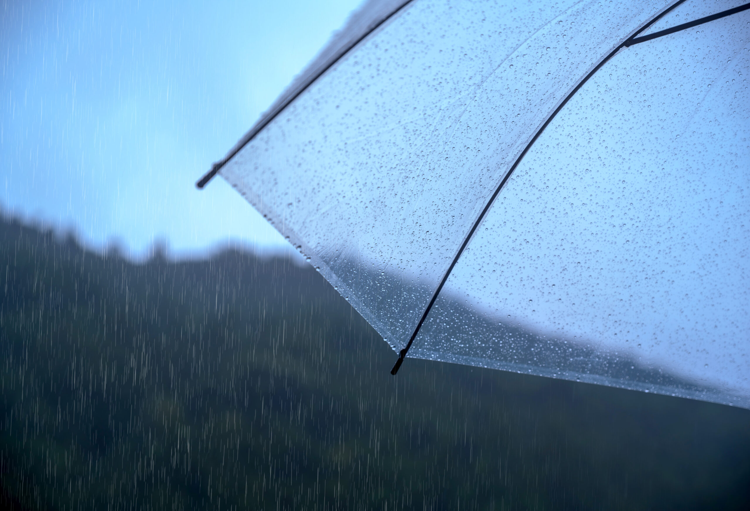 雨が降る様子