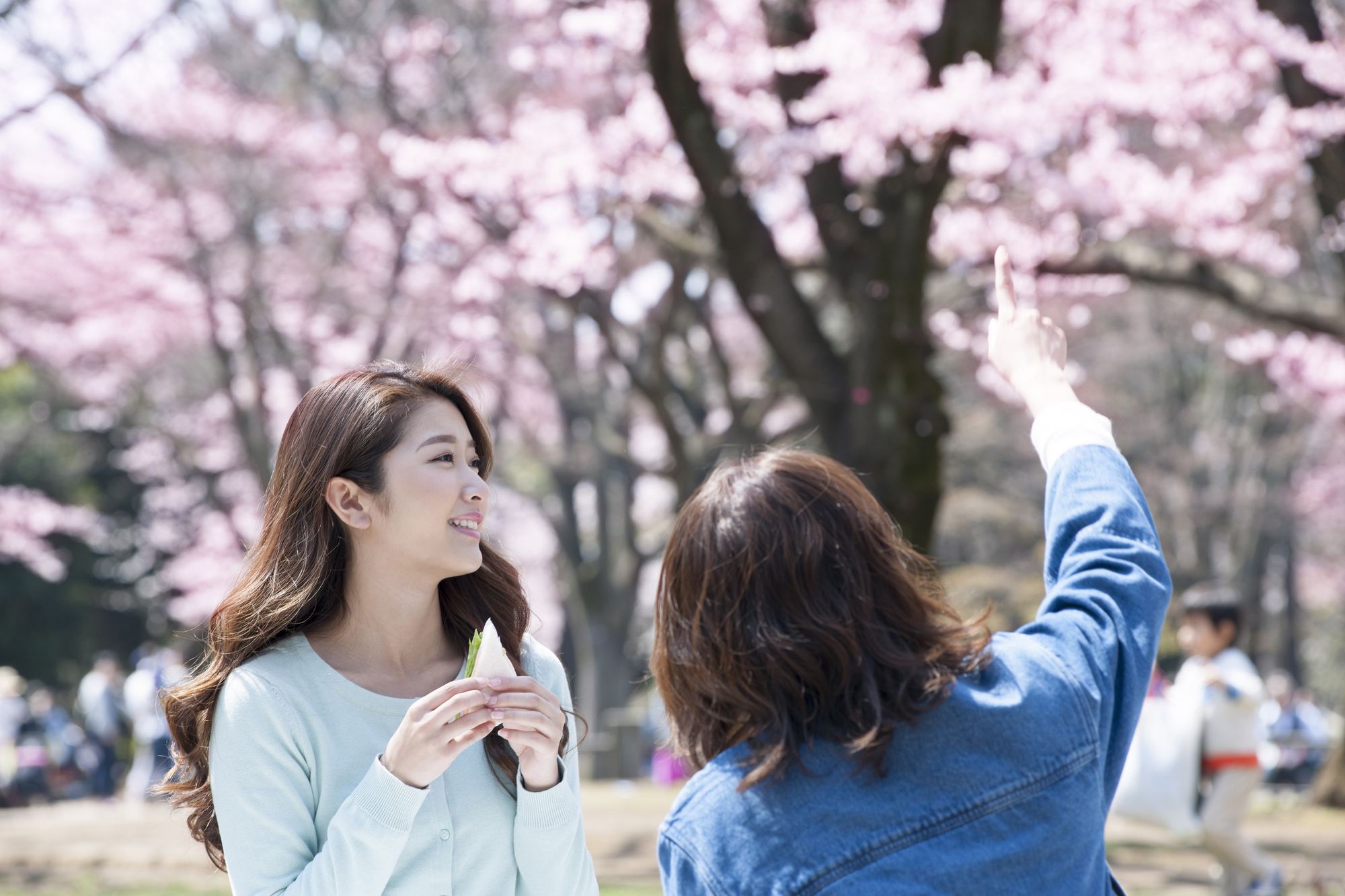 お花見をする女性